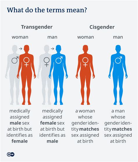 what is shemale|Trans Glossary: Reference List of Transgender Terms。